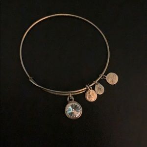 Alex and Ani Gold Bracelet with Charm
